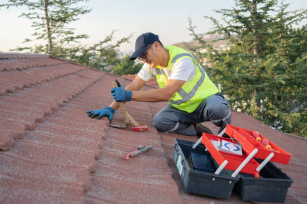 Best Roof Gutter Cleaning  in Orange Lake, NY